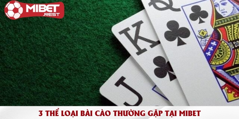 3-the-loai-bai-cao-thuong-gap-tai-mibet