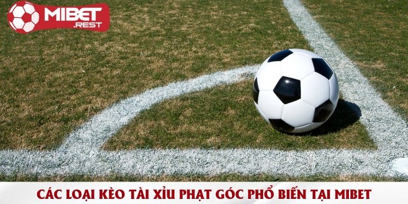 Tài xỉu phạt góc & Những phương pháp đặt cược đỉnh cao 2 cac-loai-keo-tai-xiu-phat-goc-pho-bien-tai-mibet