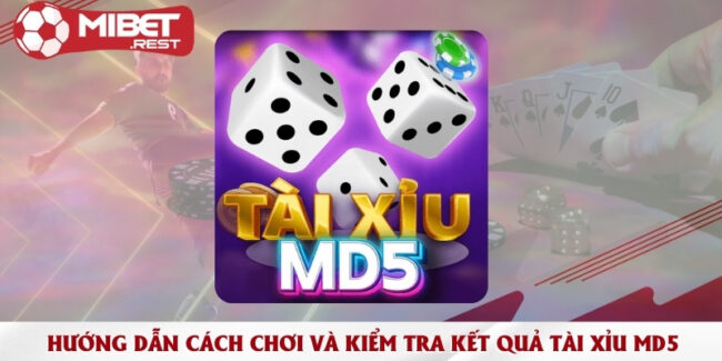 huong-dan-cach-choi-va-kiem-tra-ket-qua-tai-xiu-md5
