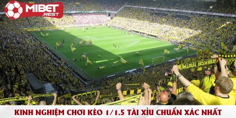 1 1.5 tài xỉu là gì? Cách đọc kèo dễ hiểu nhất cho lính mới 3 kinh-nghiem-choi-keo-1-1-5-tai-xiu-chuan-xac-nhat