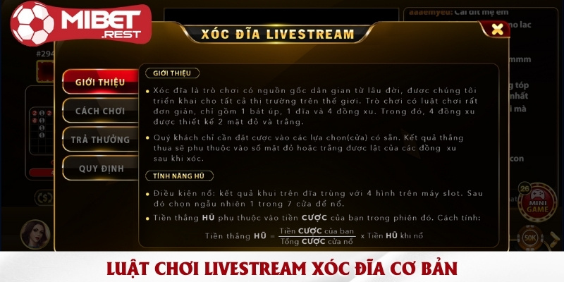 Tận hưởng không khí náo nhiệt trong xóc đĩa livestream 3 luat-choi-livestream-xoc-dia-co-ban