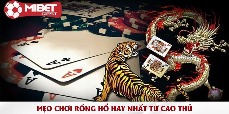 Mẹo Chơi Rồng Hổ Mibet - Cách tính điểm và 3 mẹo chơi chuẩn 2 meo-choi-rong-ho-hay-nhat-tu-cao-thu