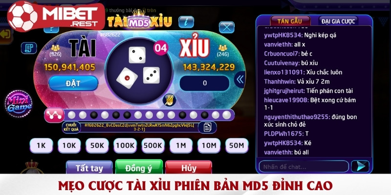 Hướng dẫn cách chơi và kiểm tra kết quả tài xỉu MD5 3 meo-cuoc-tai-xiu-phien-ban-md5-dinh-cao
