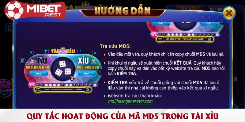 Hướng dẫn cách chơi và kiểm tra kết quả tài xỉu MD5 2 quy-tac-hoat-dong-cua-ma-md5-trong-tai-xiu