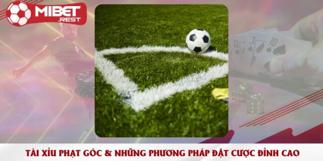 tai-xiu-phat-goc-nhung-phuong-phap-dat-cuoc-dinh-cao