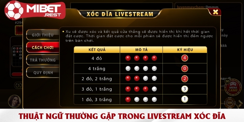 Tận hưởng không khí náo nhiệt trong xóc đĩa livestream 2 thuat-ngu-thuong-gap-trong-livestream-xoc-dia